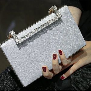 Silver Clutch Purse